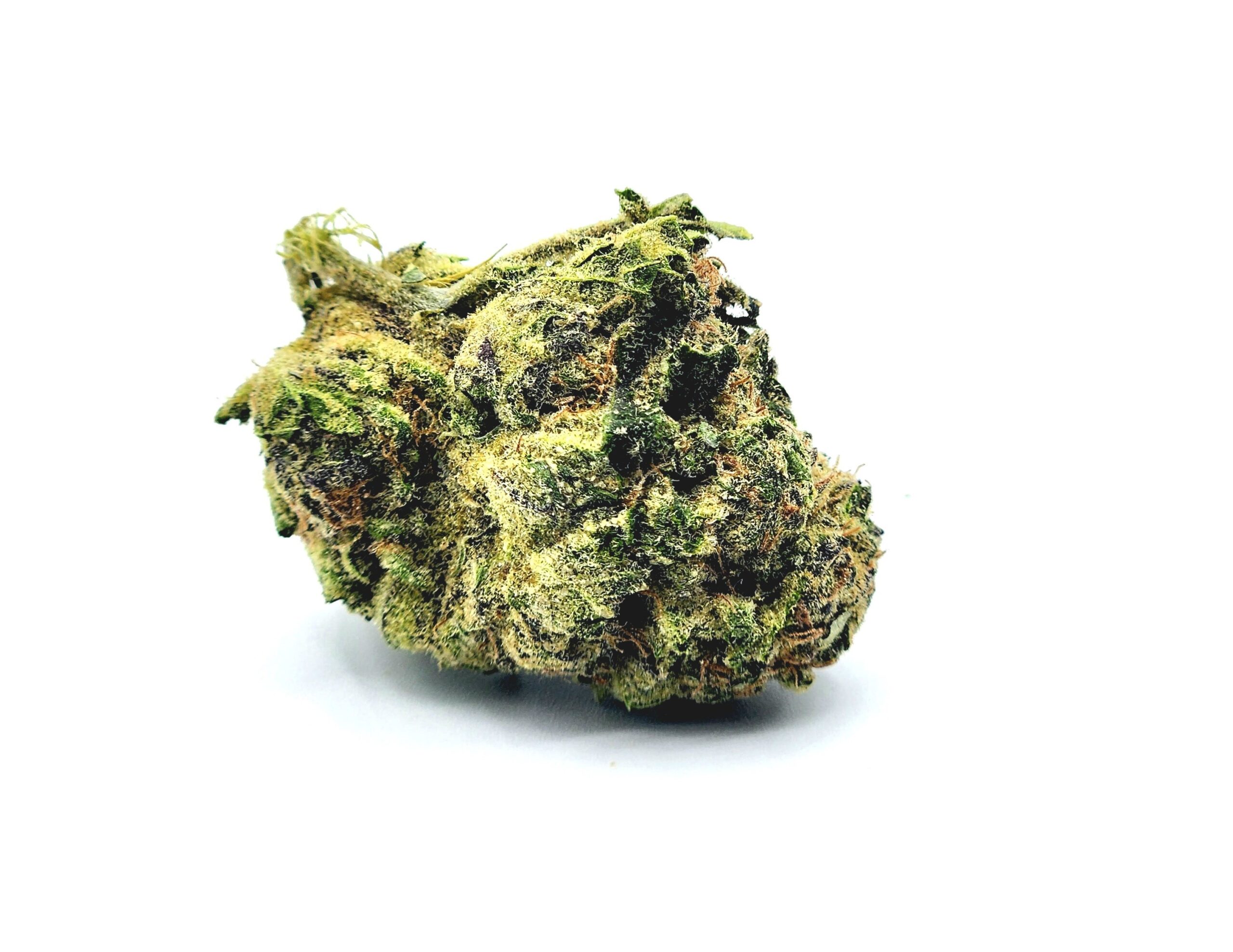 Monkey Mints Green Star Halifax