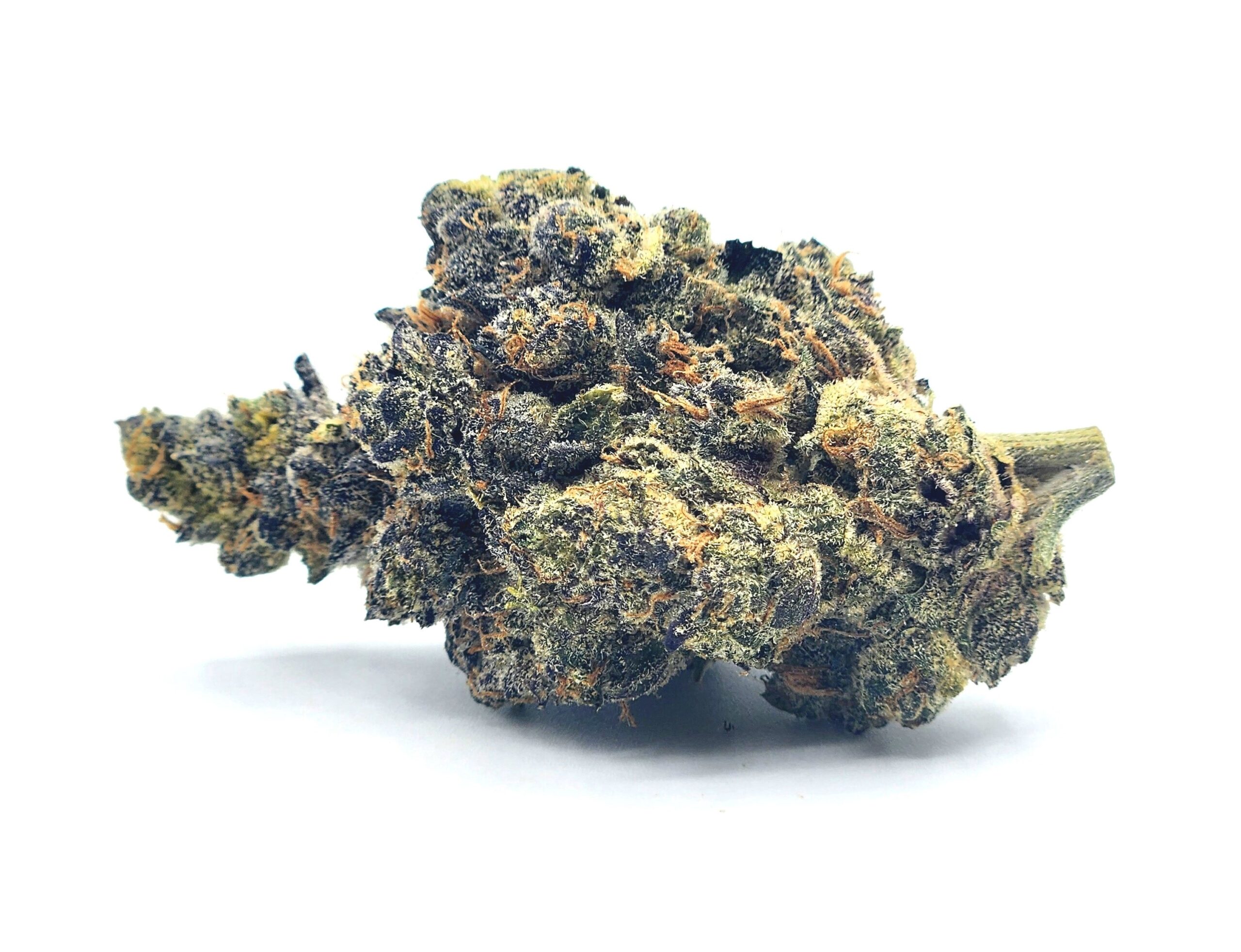 Ice Cream x Biscotti Green Star Halifax