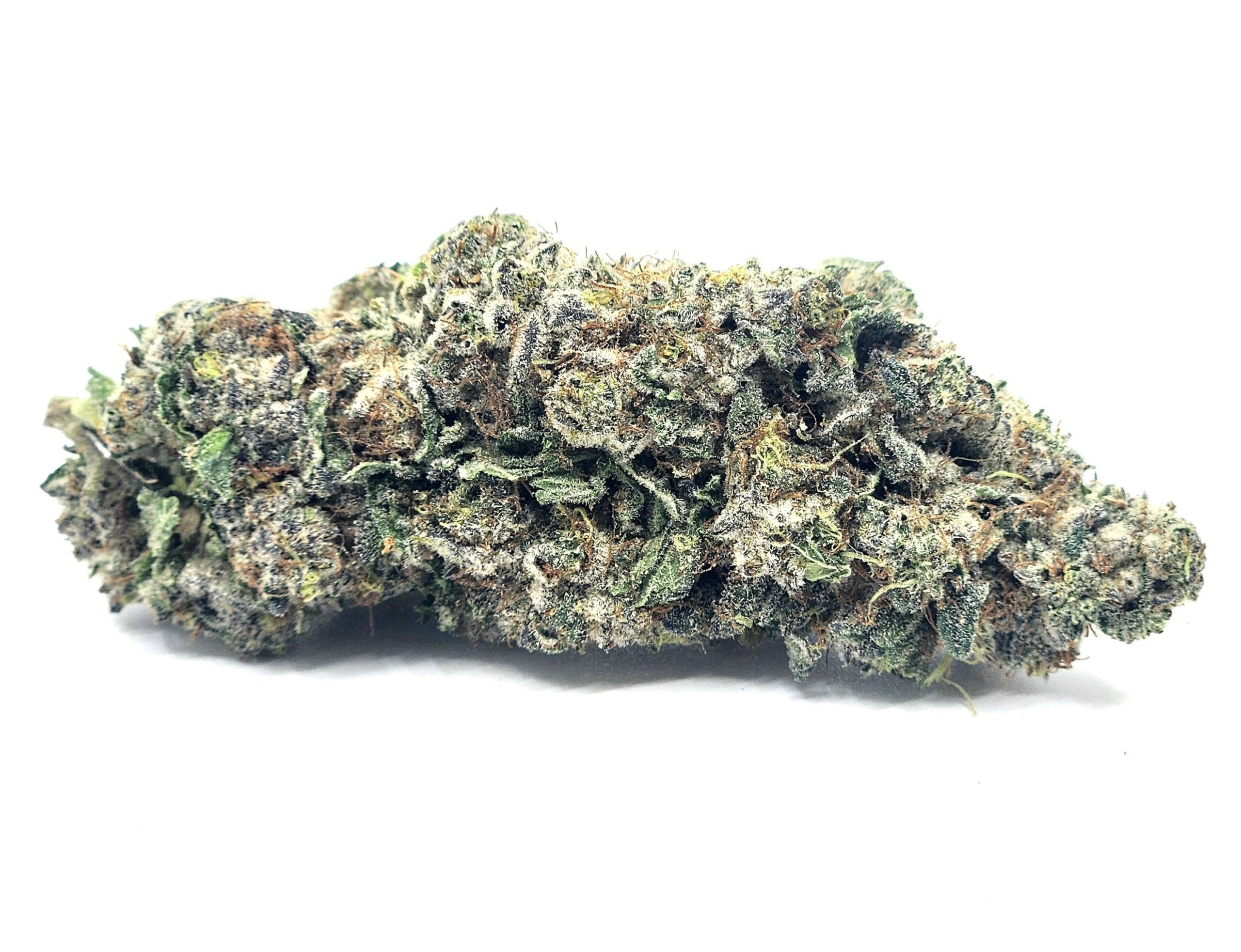 Blueberry Truffle Green Star Halifax